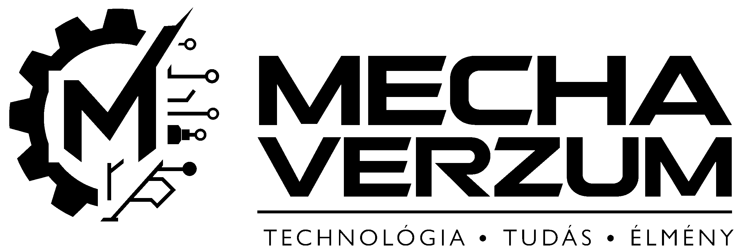 MECHAVERZUM kép